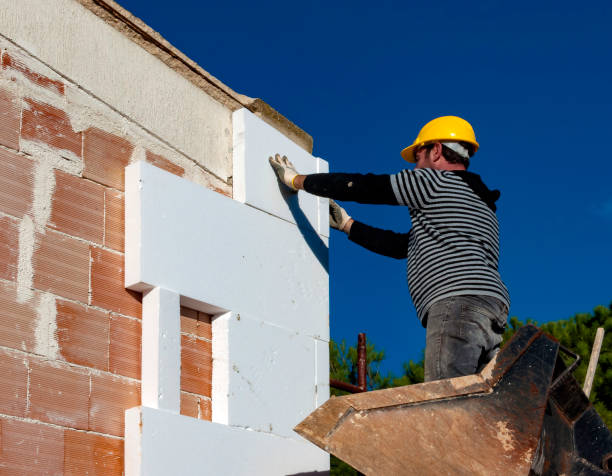 Best Attic Insulation Installation  in Weirton, WV