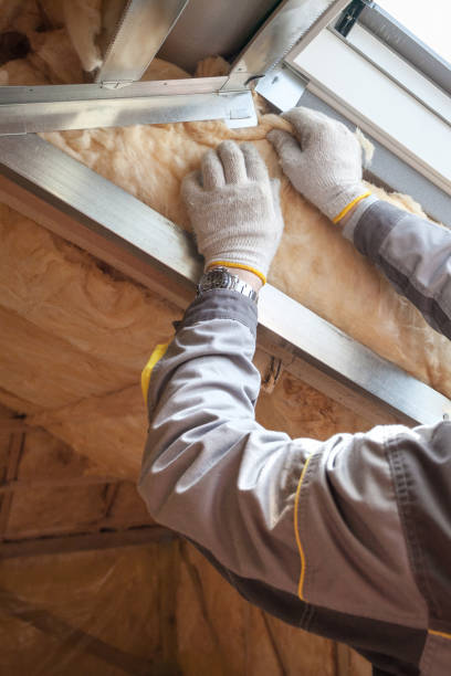 Best Insulation Contractor Near Me  in Weirton, WV