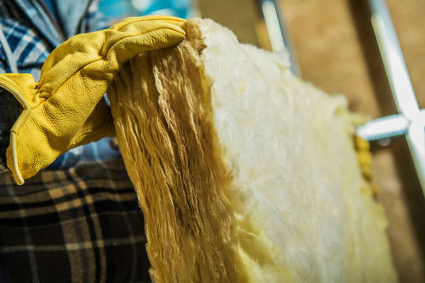 Best Attic Insulation Installation  in Weirton, WV