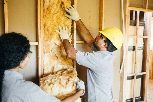 Best Home Insulation Services  in Weirton, WV