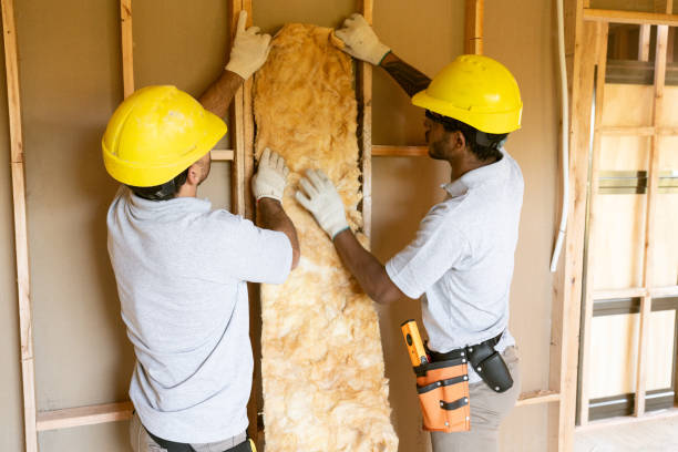 Best Soundproof Insulation Installation  in Weirton, WV