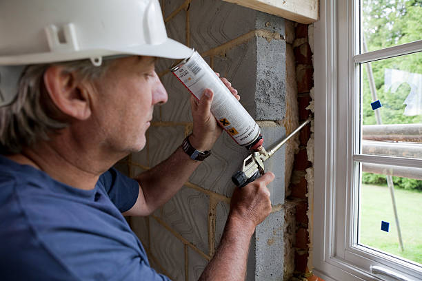 Best Home Insulation Services  in Weirton, WV