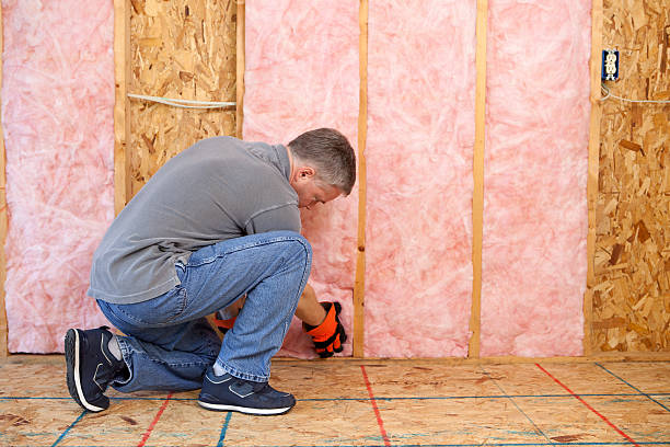 Best Blown-in Insulation  in Weirton, WV