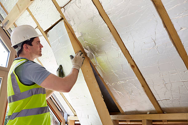 Best Professional Insulation Contractor  in Weirton, WV