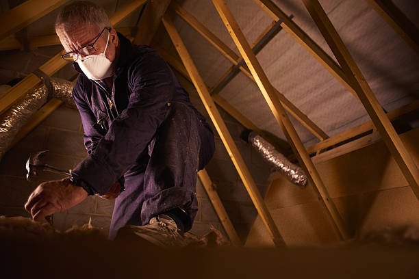 Best Commercial Insulation Contractor  in Weirton, WV