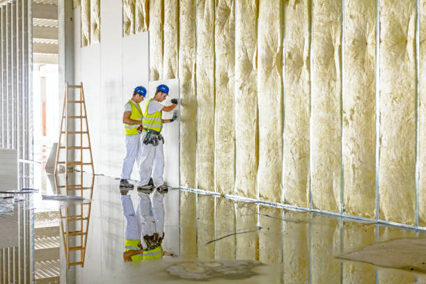 Best Insulation Inspection Services  in Weirton, WV